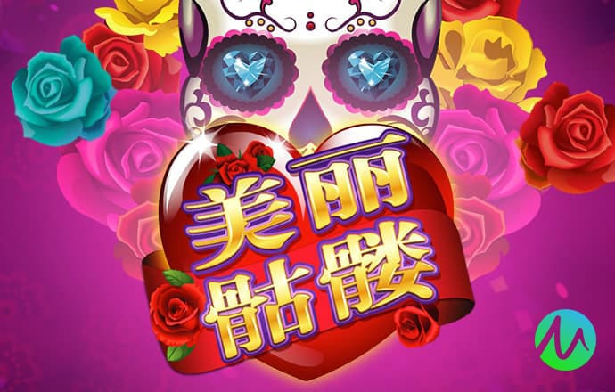 yw龙物国际